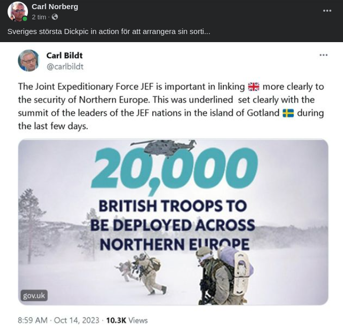 Sortiarrangerande Bildt