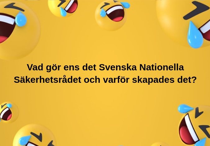 Svenska Nationella Säkerhetsrådet