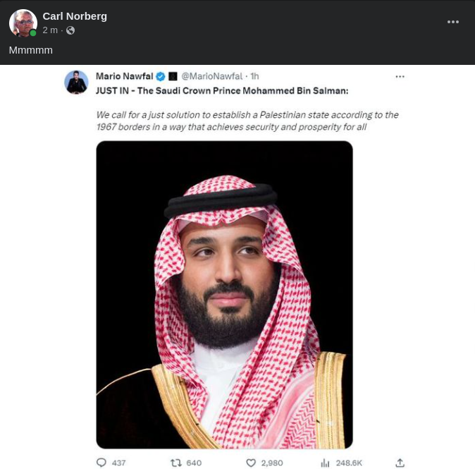 MbS & Palestina