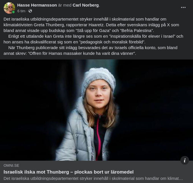 Gretchen Strykt I Israelisk Undervisning