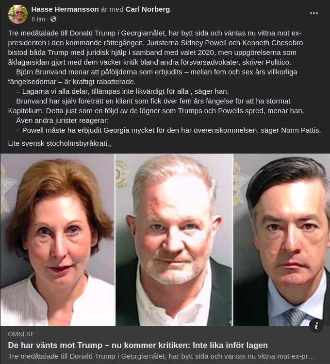 Amerikansk Laglikhet..