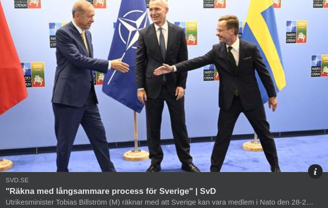 Snabbt Till Långsam Natoansökningsbehandling