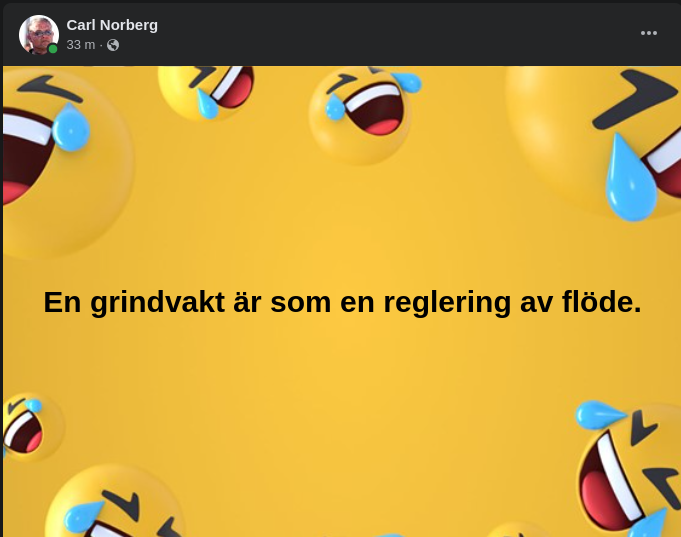 Flödesreglerande Funktion