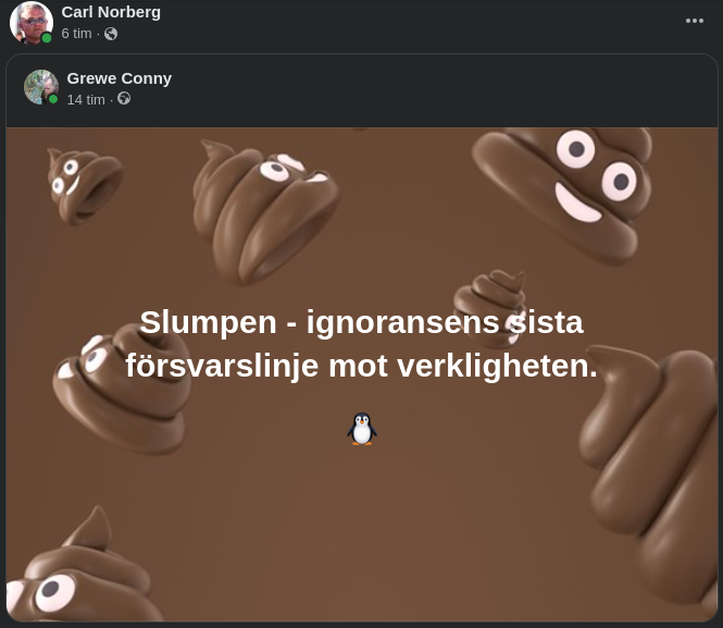 Slumpens Sista Försvarslinje