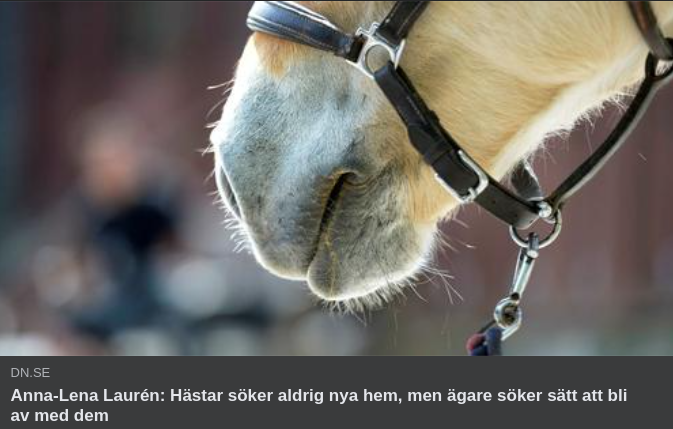 Självbedräglig Hästlitania I DN