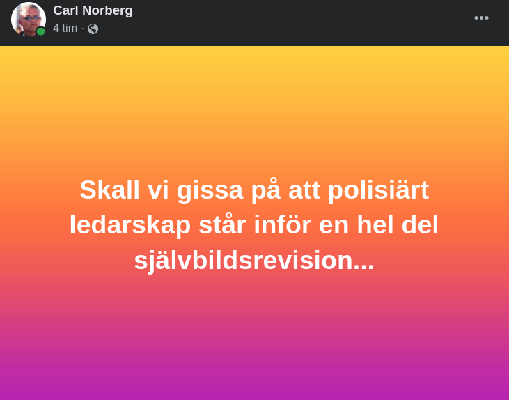 Polisiärt Ledarskapssjälvbildsrevision