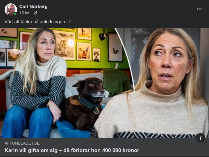 Ekonomi & Giftermål