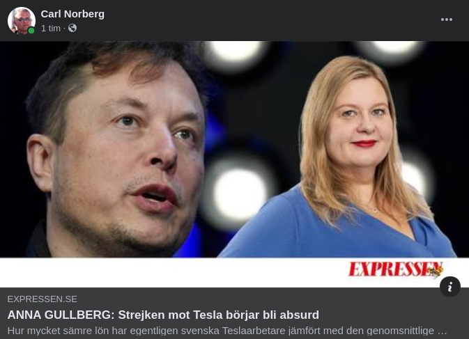 Absurd Teslastrejk