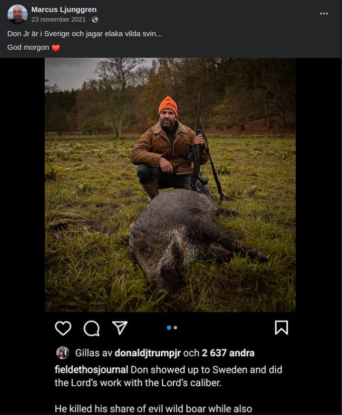 Elaka Vilda Svin Delta