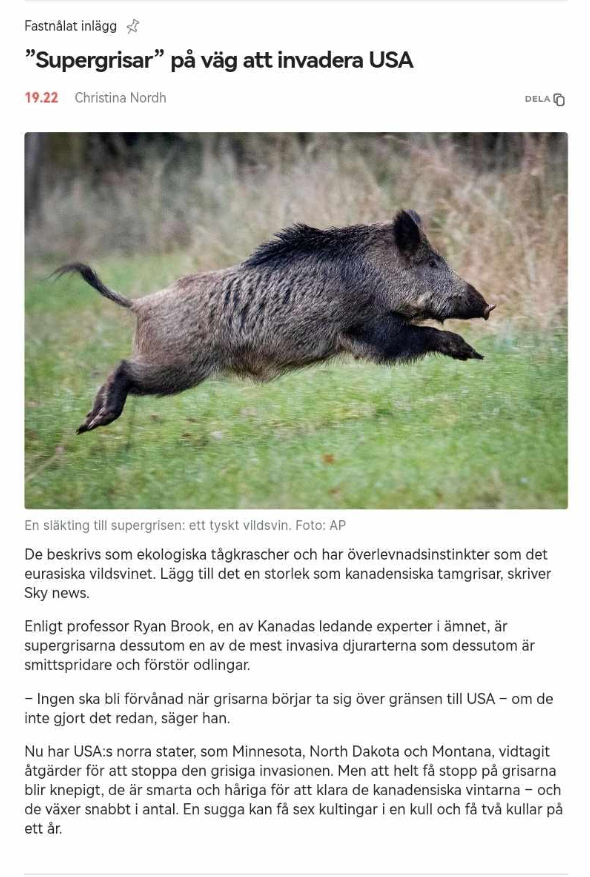 Invaderande Supergrisar