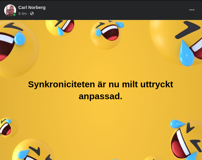 Anpassad Synkronicitet