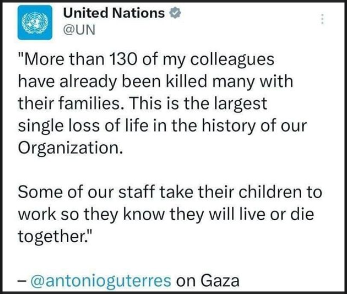 Observerande FN-Observation Av Generalsekreteraren