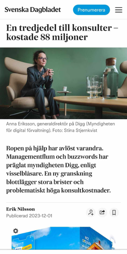 Myndiga Konsultkostnader