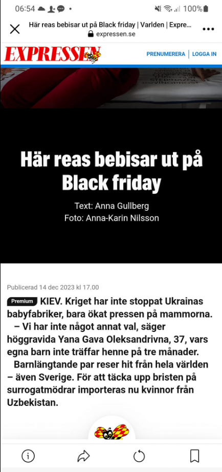 Ukrainas Babyfabriker