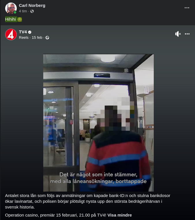 Medbrottsligt Lånande I TV4