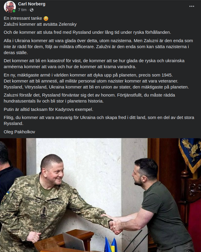 Zalužni Efter Zelensky?..