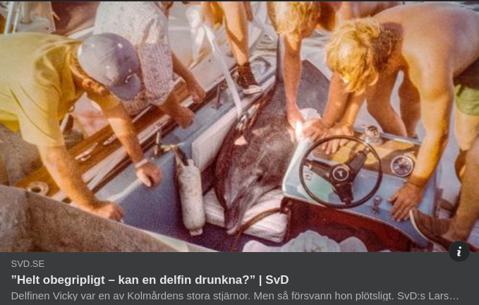 Delfinen Vicky På Kolmården