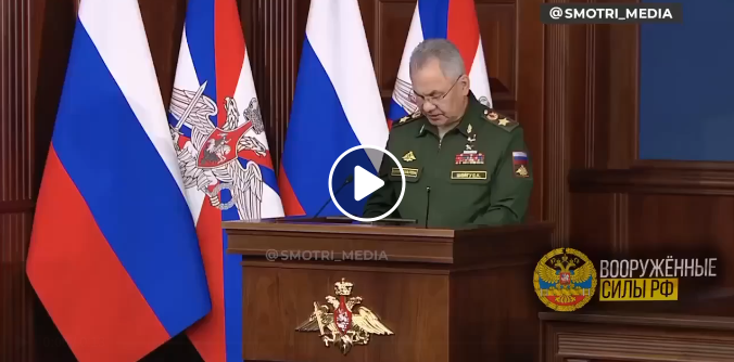 Sagt Av Shoigu