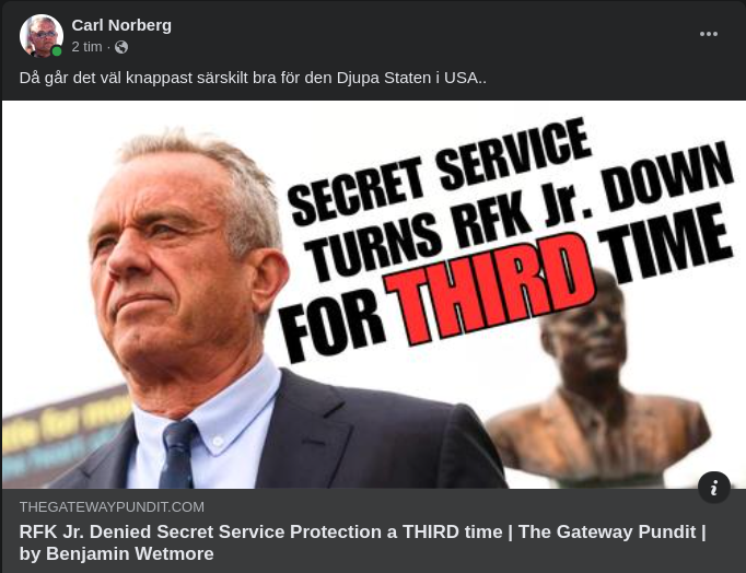 Ingen Secret Service För RFK Jr
