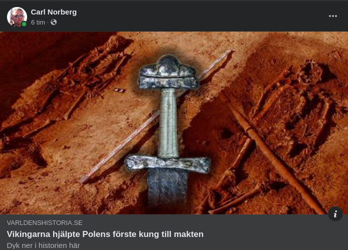 Vikingar & Polens Förste Kung