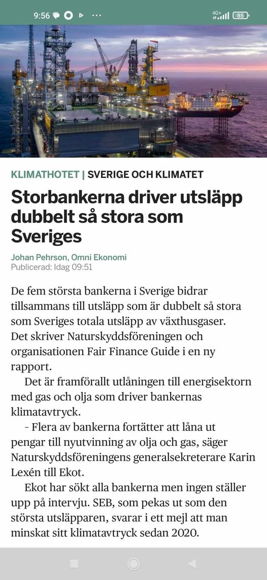 Storutsläppsdrivande Storbanker
