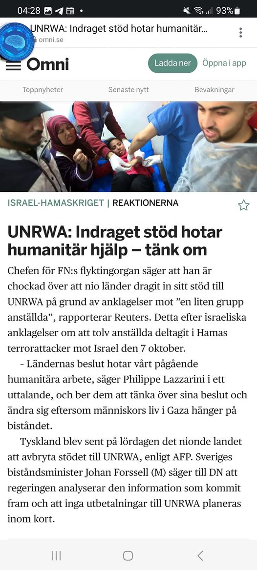 Det Där Med FN..
