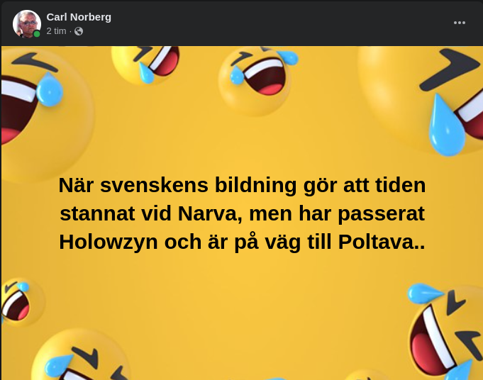 Tidsstannande Bildning