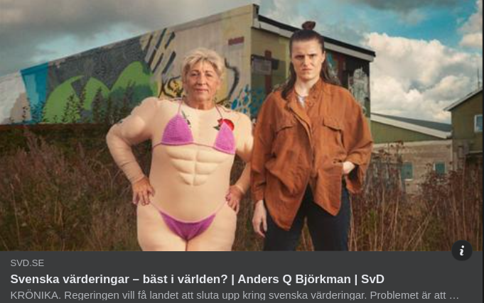 Världsbästa Svenska Värderingar? I SvD