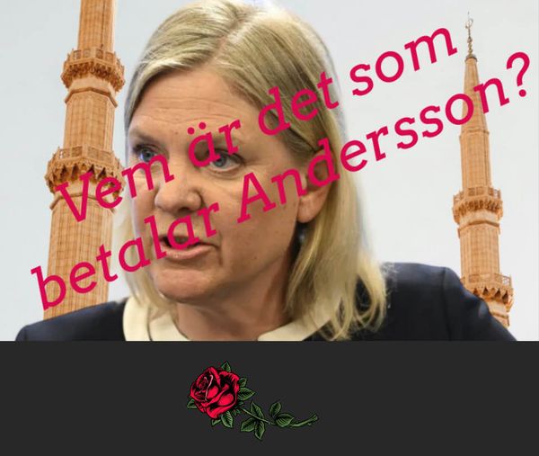 Vem Betalar Andersson?
