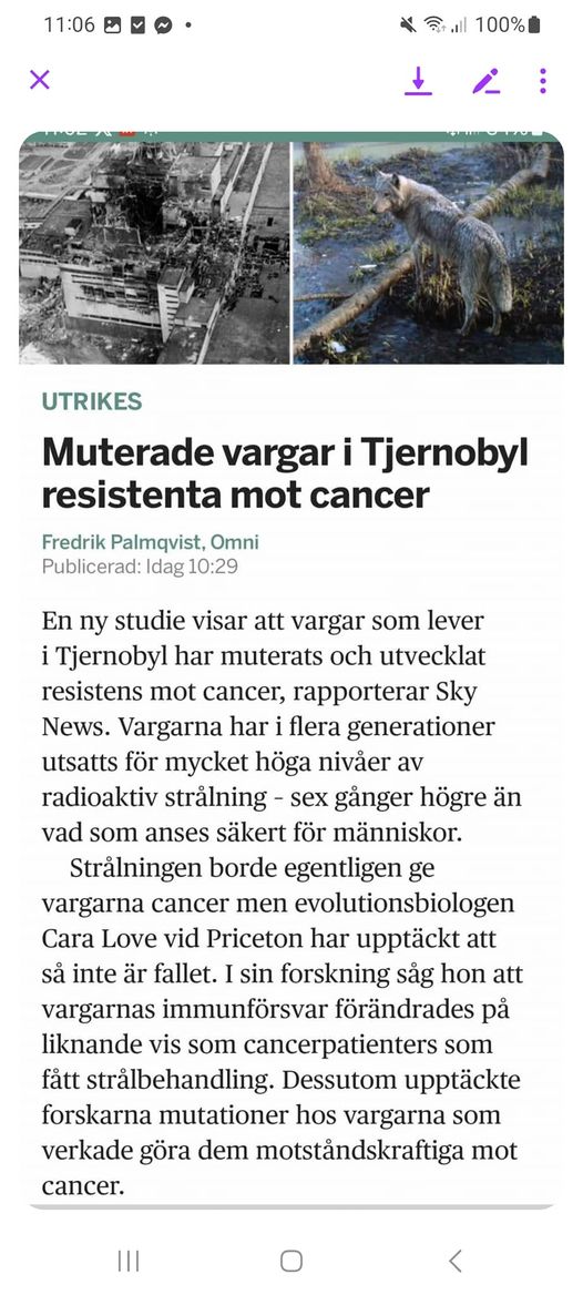 Cancerresistenta Muterade Tjernobylvargar