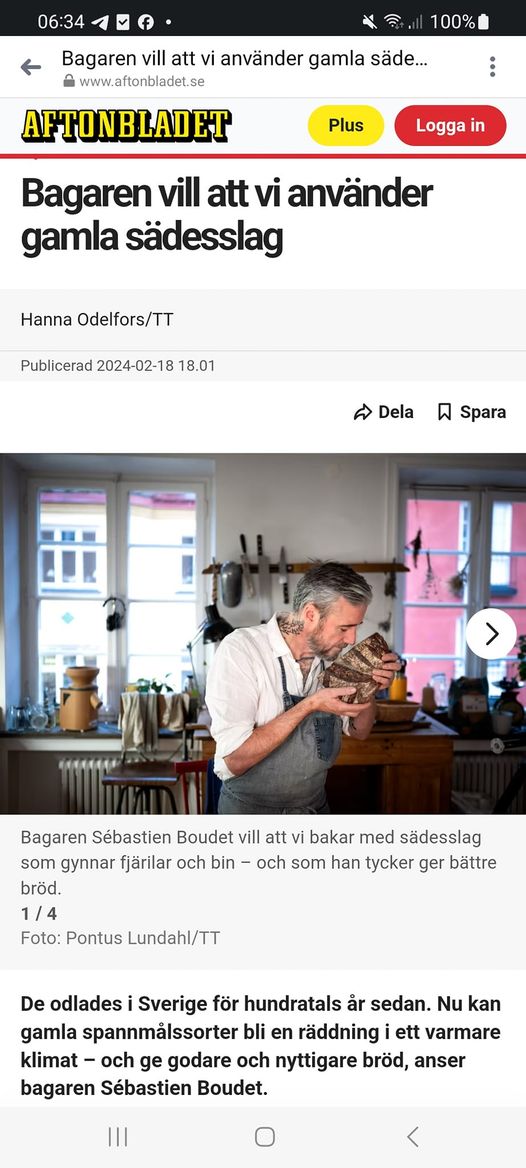 Gamla Sädesslag I Aftonslasket