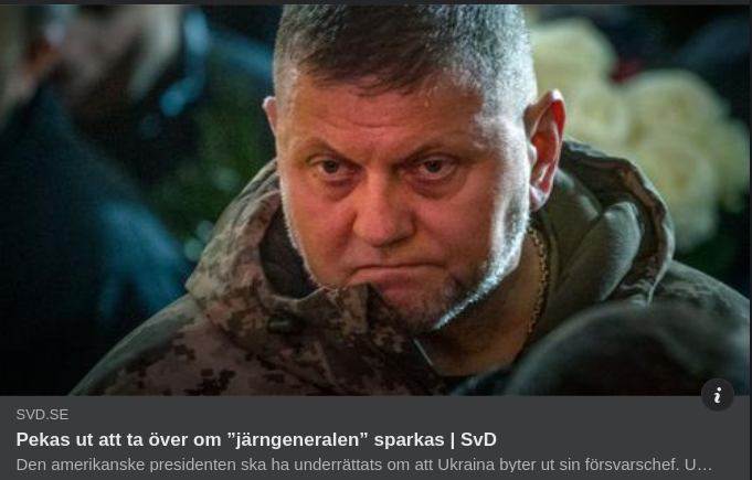 Zelensky & Järngeneralen