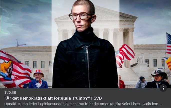 Demokratifolkbildande Stina I SvD