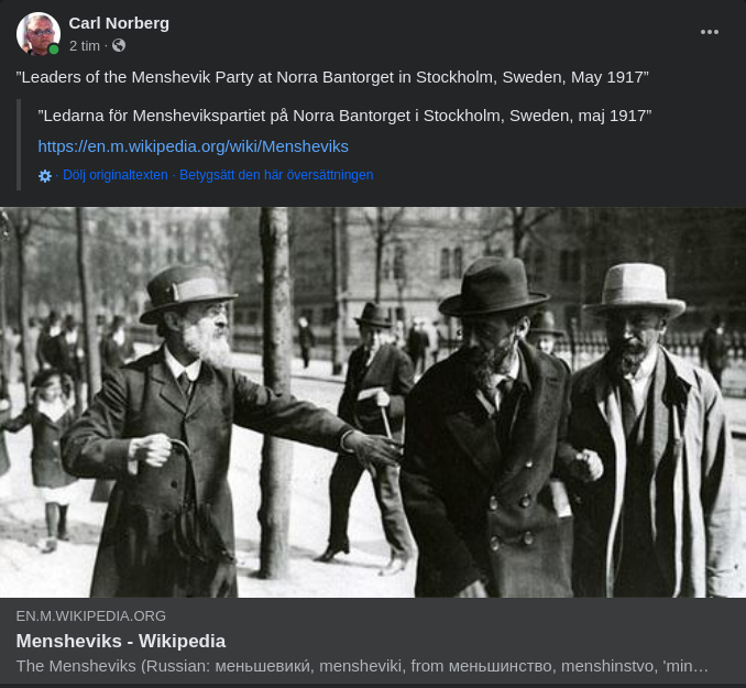 Ledande På Norra Bantorget Maj 1917