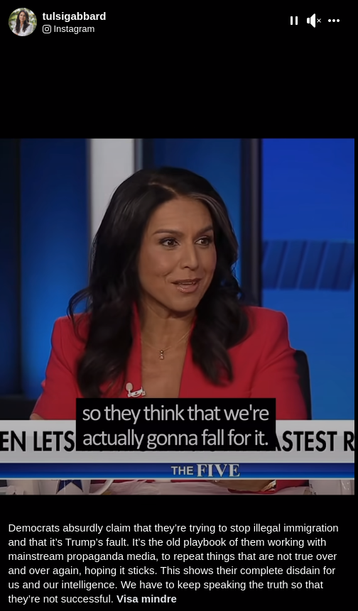 Tulsi & Lögnmedia