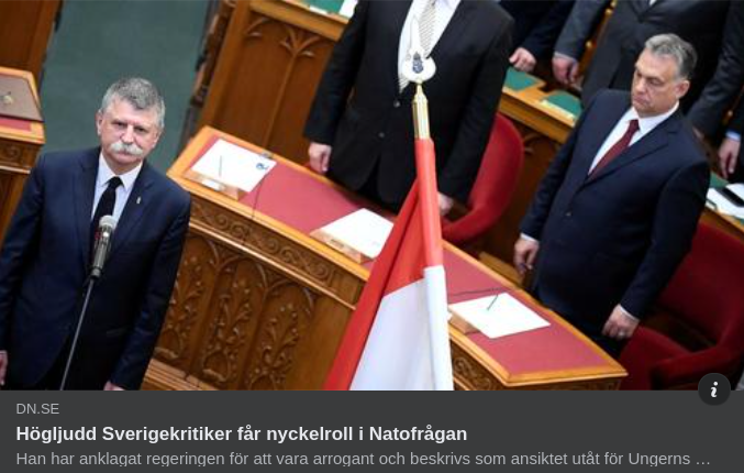 Högljudd Sverigekritiker Med Ungersk Nyckelroll