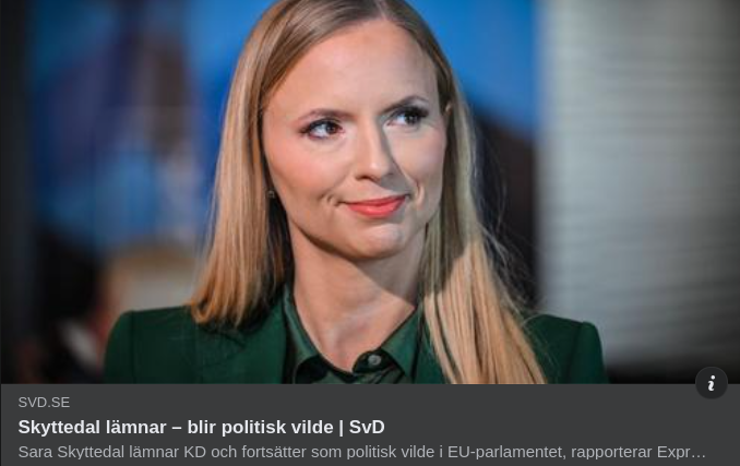 Skyttedal Blir Politisk Vilde