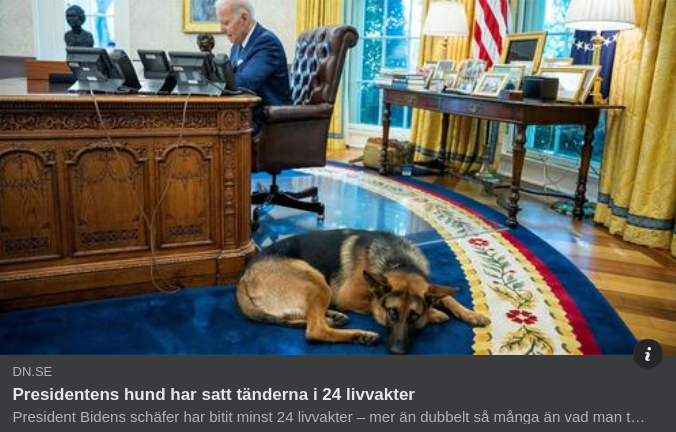Bitglad Presidenthund