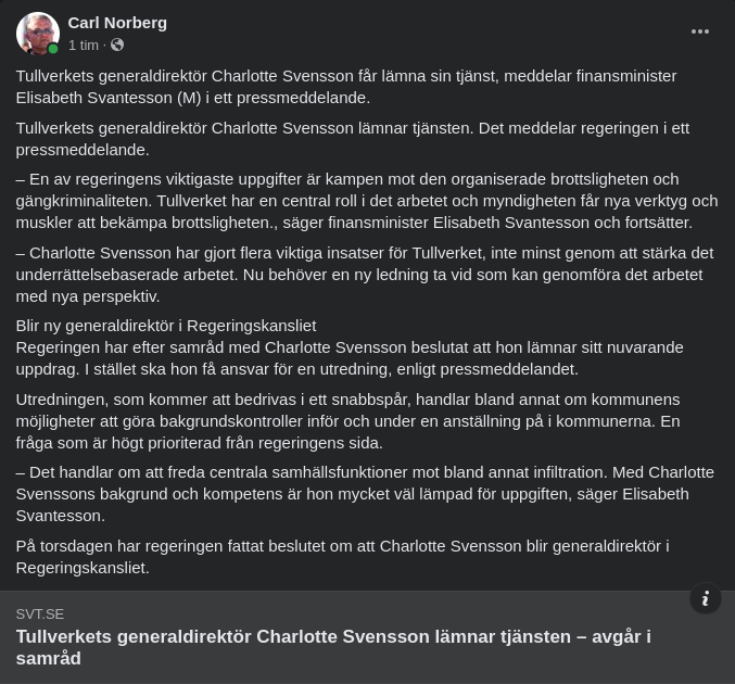 Tullverkets VD Lämnar I Samråd Med Regeringen