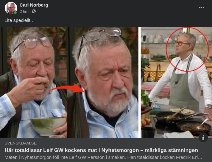 Kockmatsdissande Polisprofessor