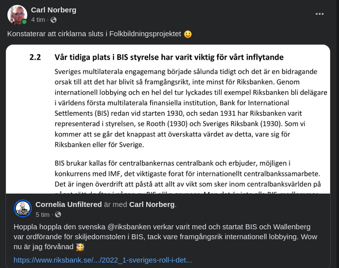 Tidigt Svenskt I BIS Riksbankskonstaterat Viktigt För Inflytande