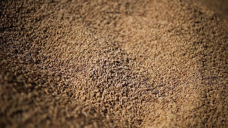 Spannmålsbörs Inom BRICS?..