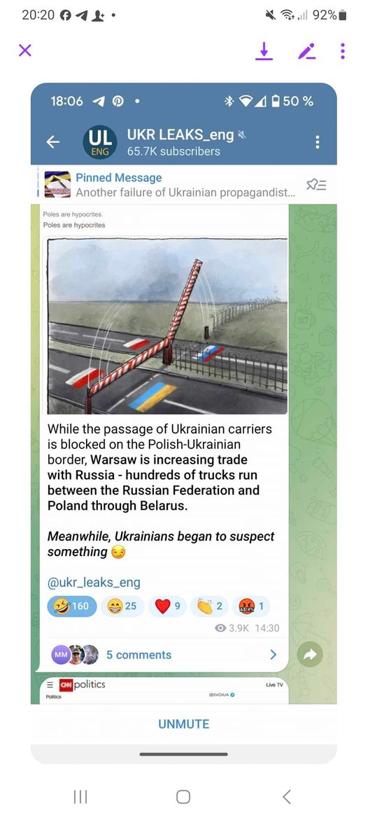 Polska Gränspassager