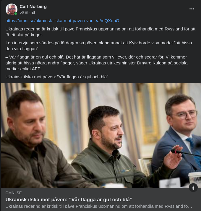 Ukrainsk Flaggilska Mot Påven