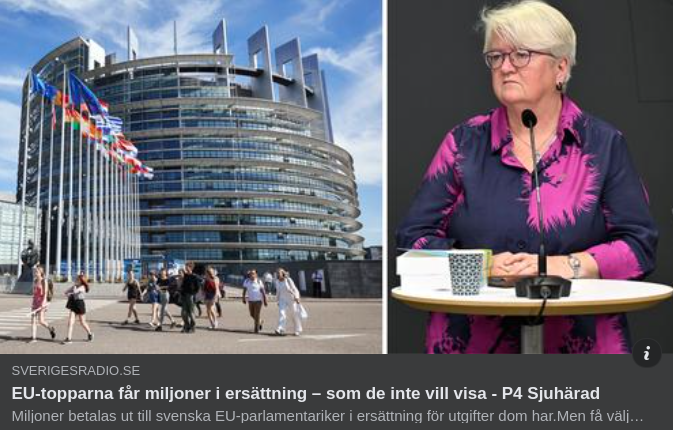 Enskild EU-Ersättning