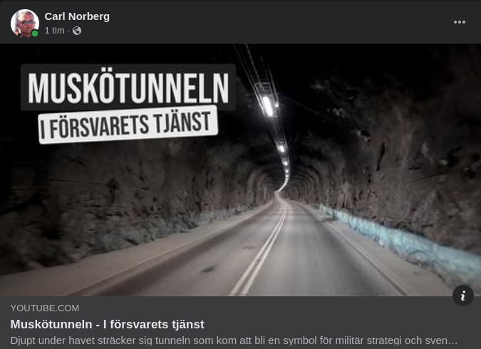 Muskötunnelfilm