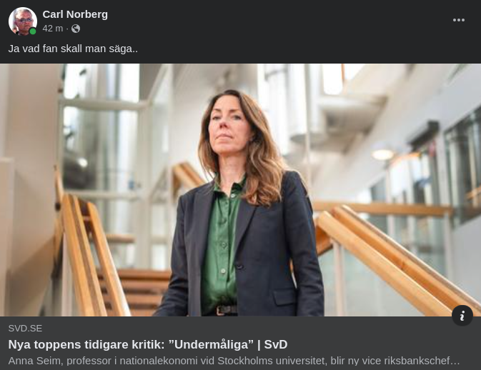 Anna Seim Ny Vice Riksbankschef