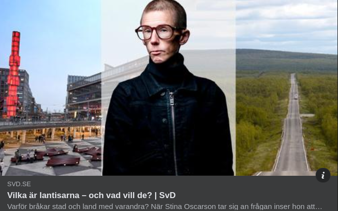 Klarsynt Stina I SvD