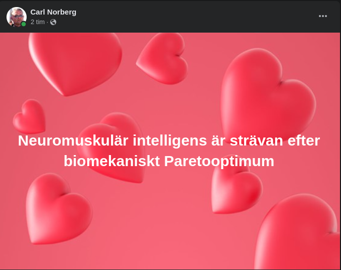 Biomekanisk Paretooptimumsträvan