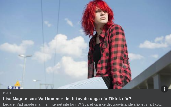 Digitalt Tids & Informationstjuveri